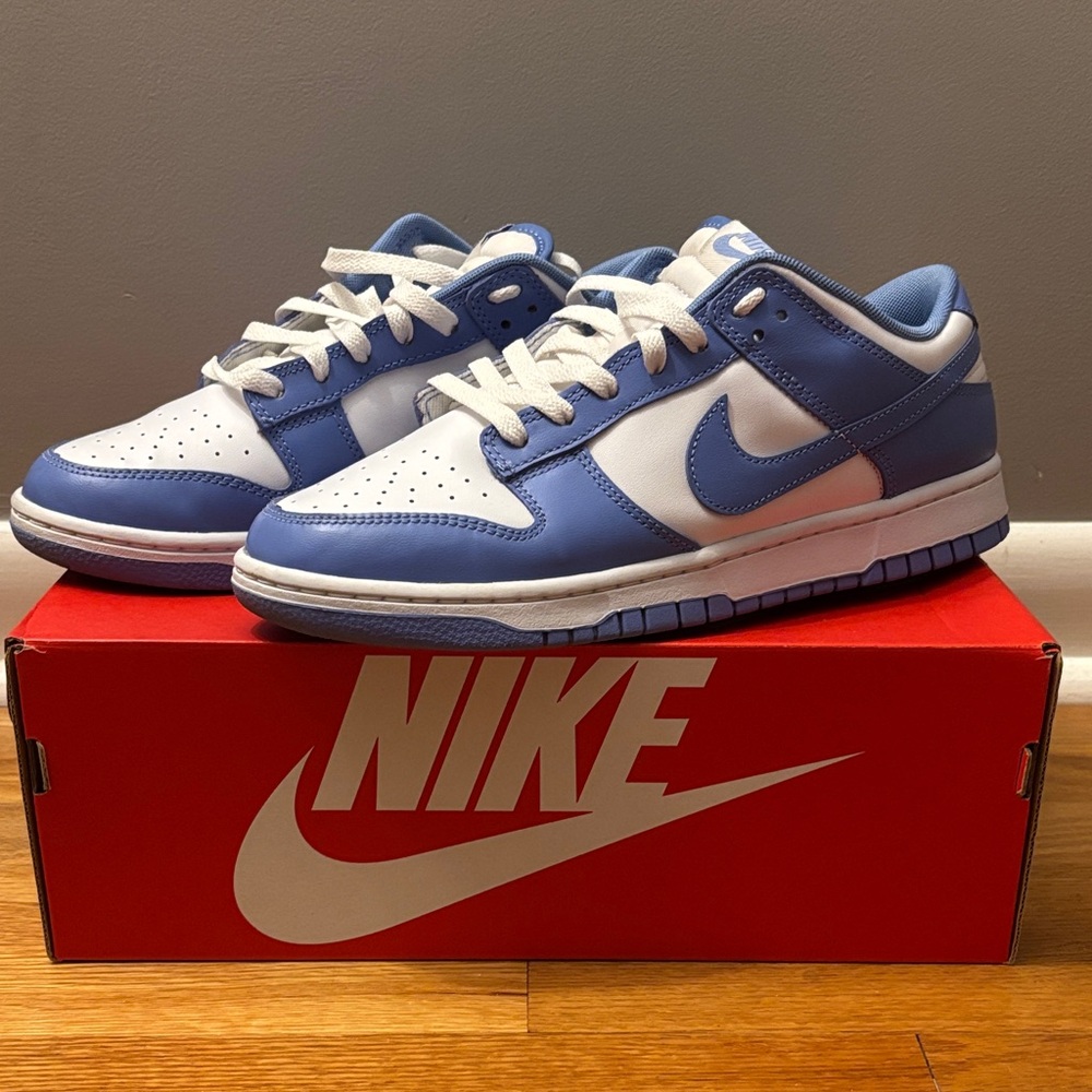 Nike Polar Blue Dunks Size 9.5